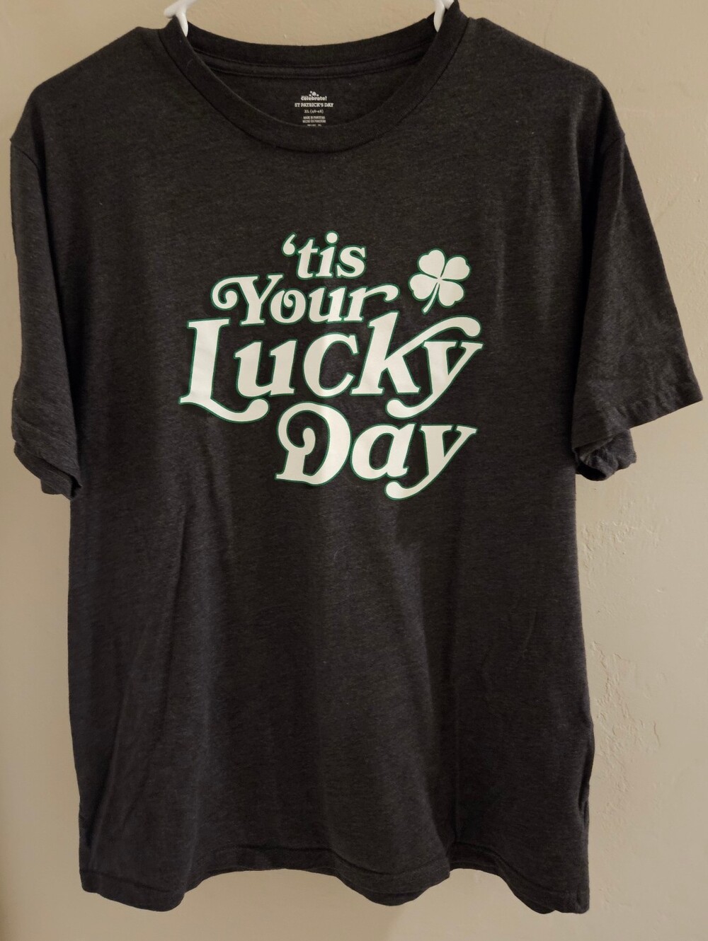 St. Patrick’s Day Men’s "Tis Your Lucky Day" Graphic Tee Gray Color Gray NWOT XL
